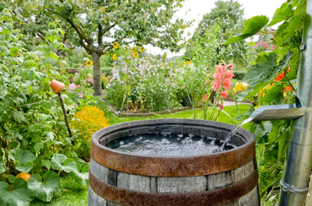 Bulk Chlorine Dioxide Treating Water for Safe Drinking Guide